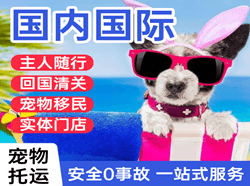 哈尔滨航空运输国际宠物托运 【国